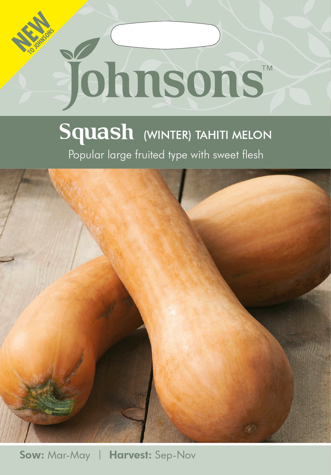 SQUASH (Winter) Tahiti Melon