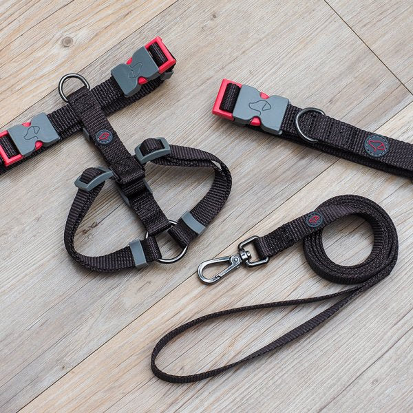 Jet Walkabout Dog Lead S