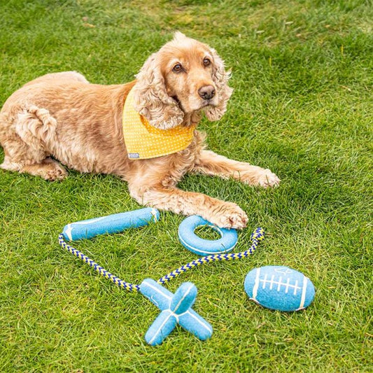 Squeaky Pooch Rugger Ball 12Cm