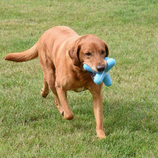 Squeaky Pooch Jack 15Cm