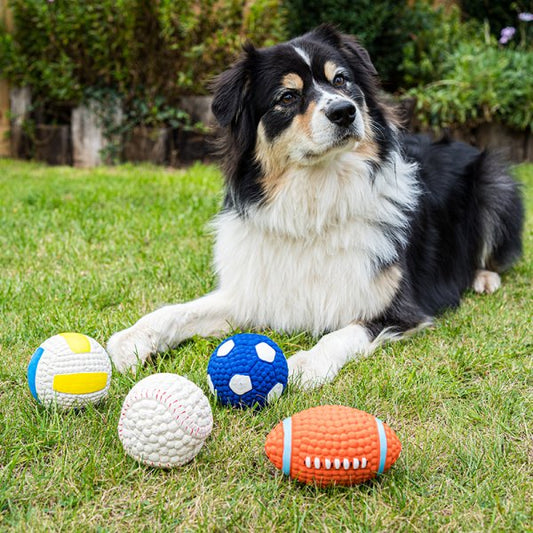Squeaky Latex Pooch Ball 6Cm