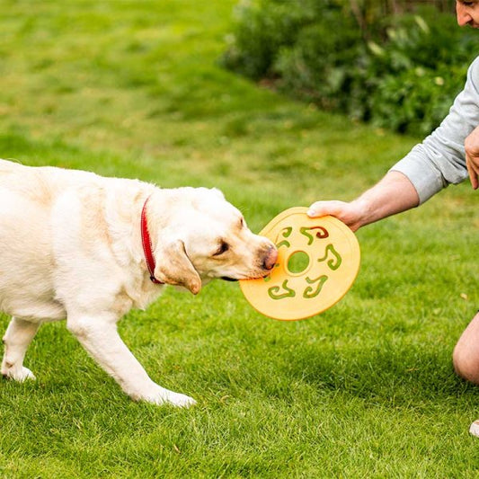 25Cm Dog Spinner