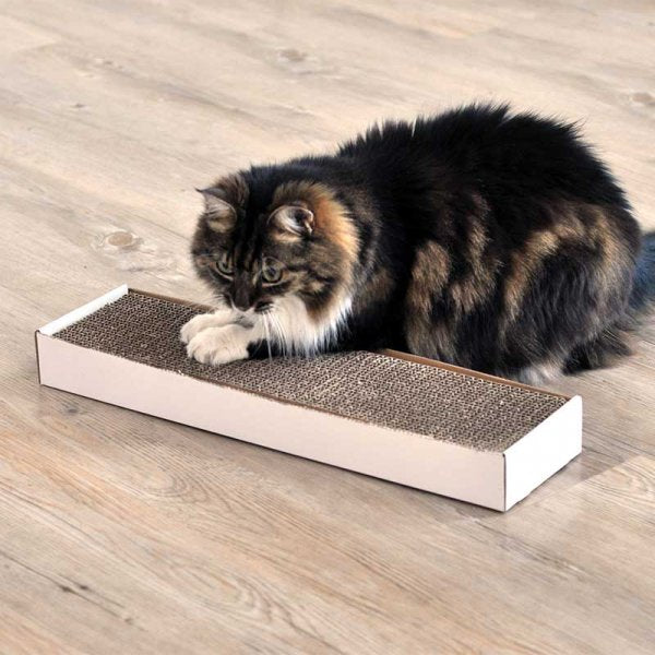 Nip-It Catnip Scratch Pad