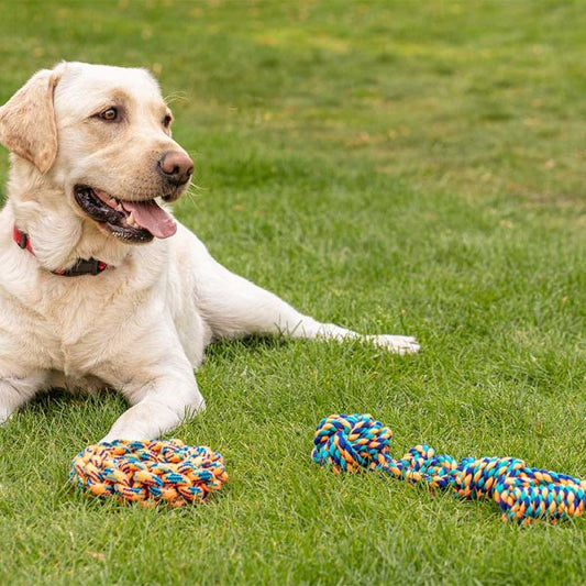 Rope Chukker