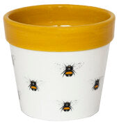 Cacti Planter Bumble Bee H13Cm D13Cm