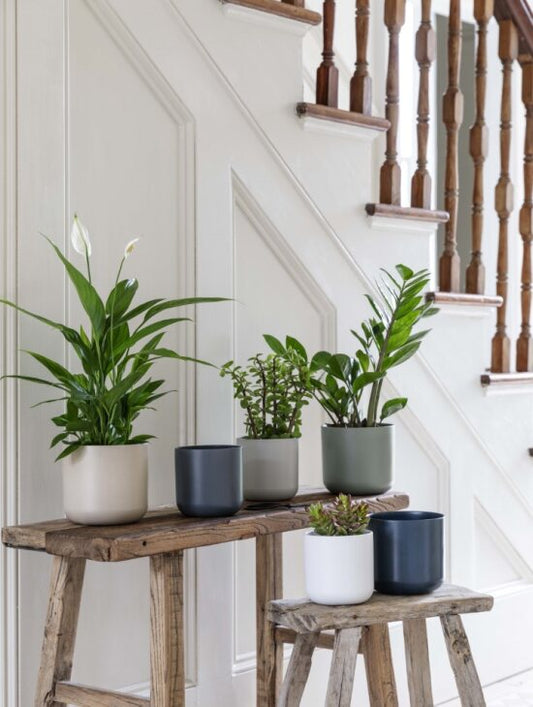 Lisbon Planter White D15Cm