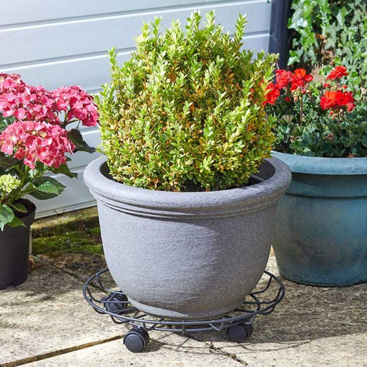 Titan Pot Caddy 40Cm