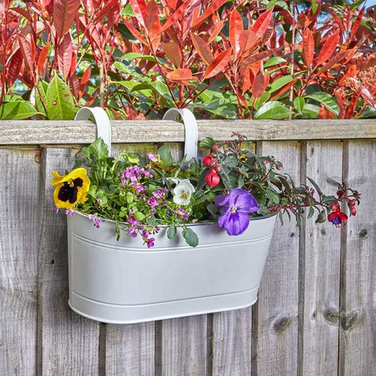 Fence & Balcony Hanging Planter Ivory