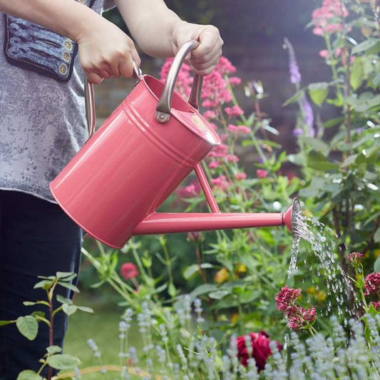 Watering Can Coral Pink 4.5Lt
