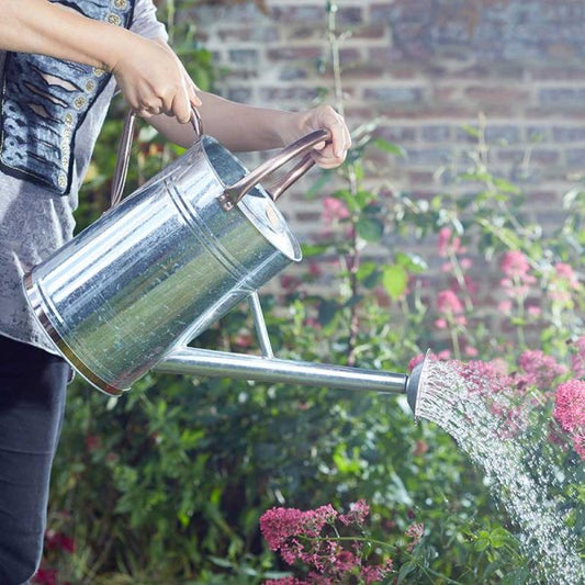Watering Can Galvanised Steel 9Lt