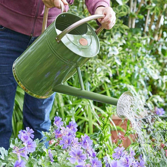 Watering Can Sage 9Lt