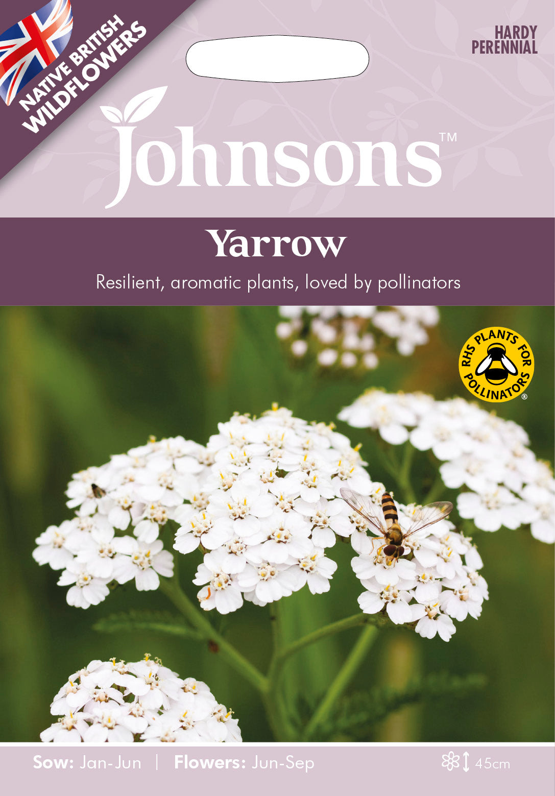 Wildflowers Yarrow