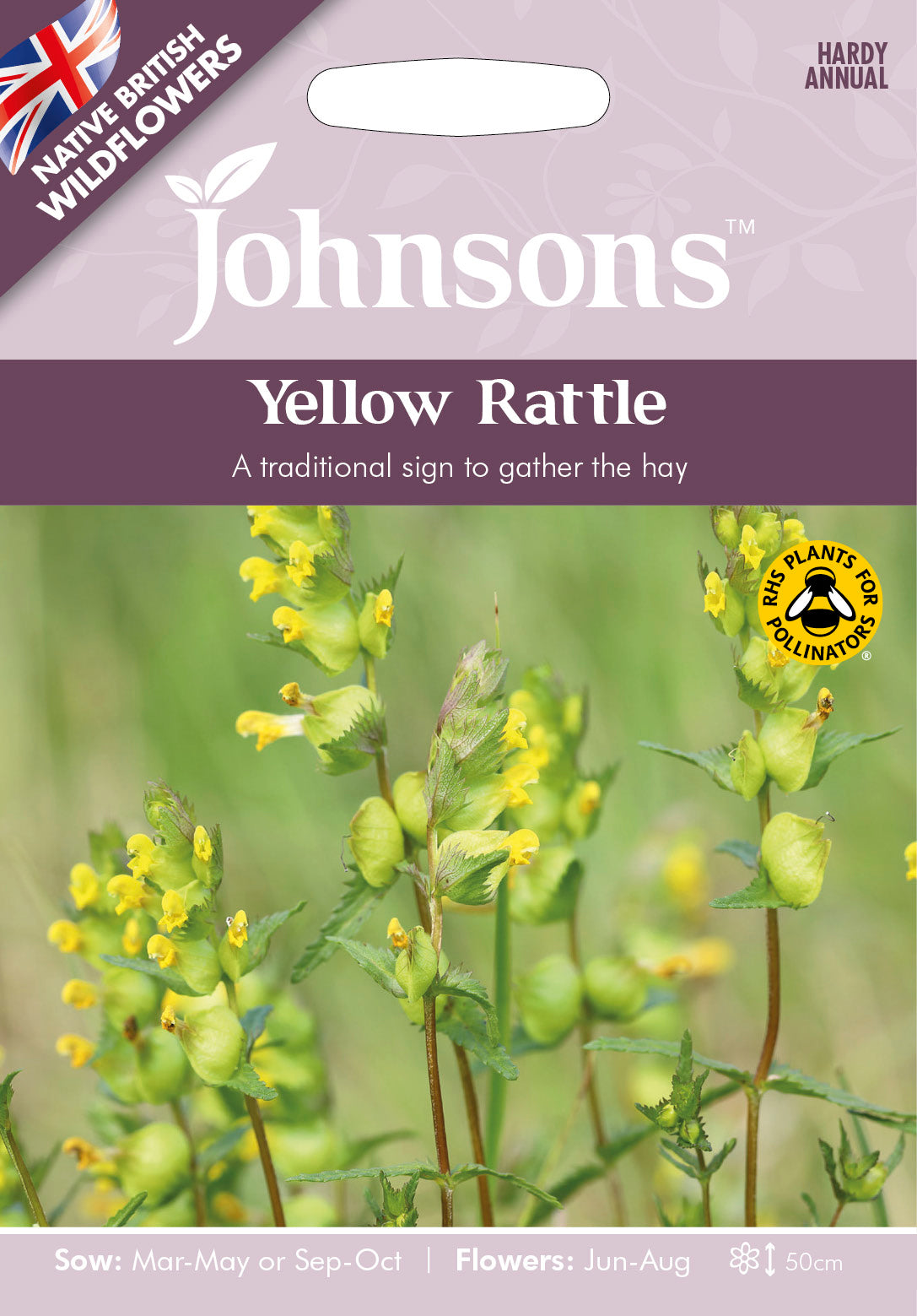 Wildflowers Yellow Rattle