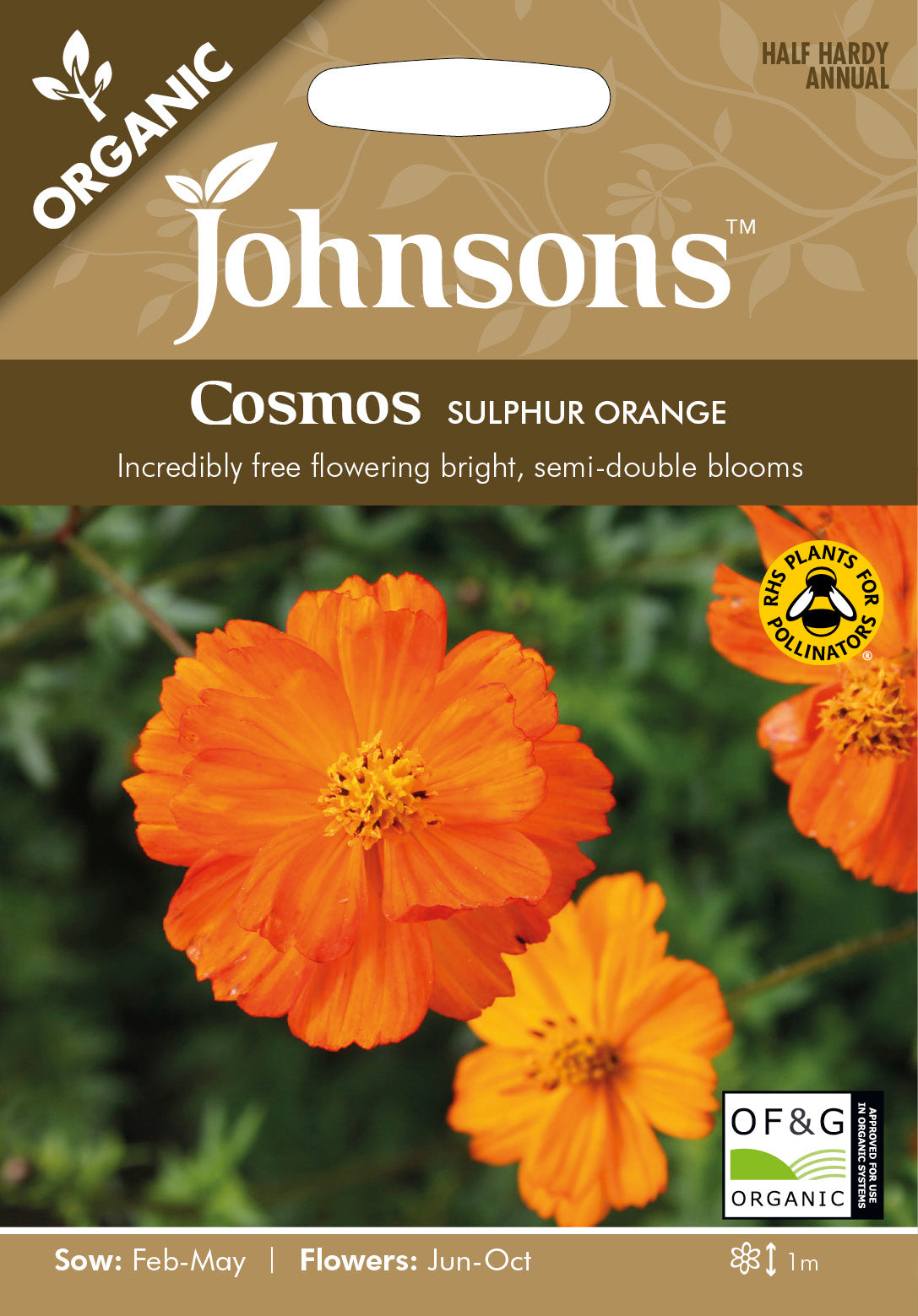 Organic COSMOS Sulphur Orange