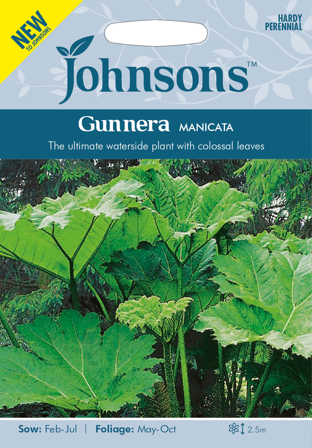 GUNNERA manicata