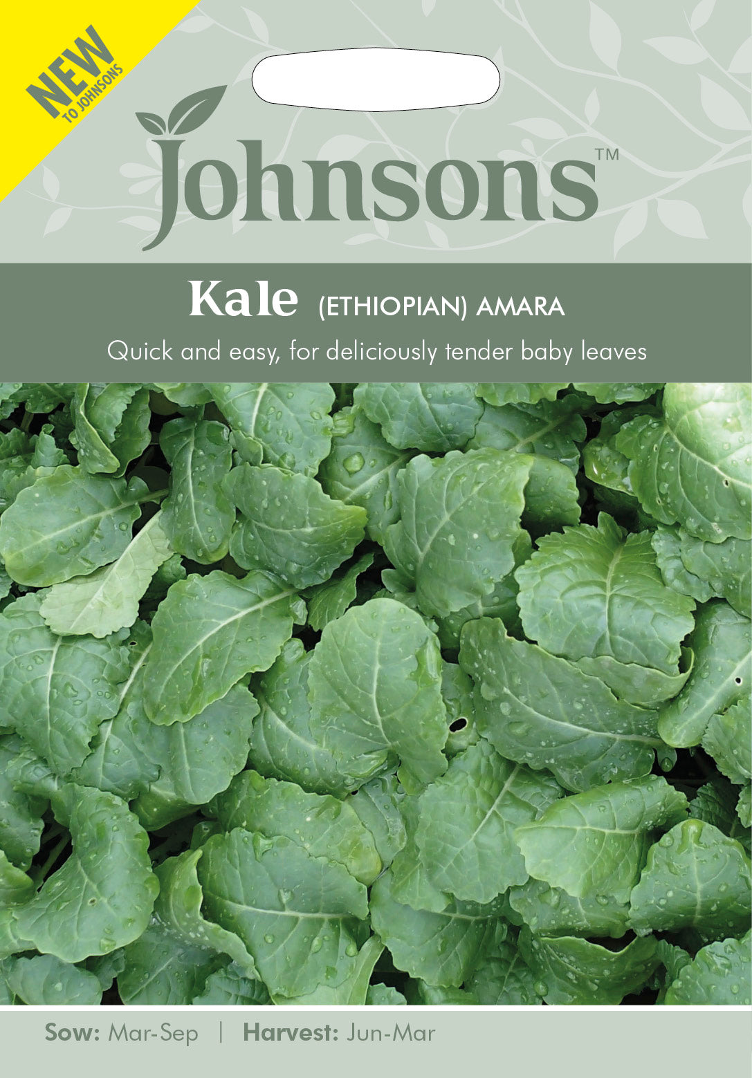 KALE Ethiopian Amara