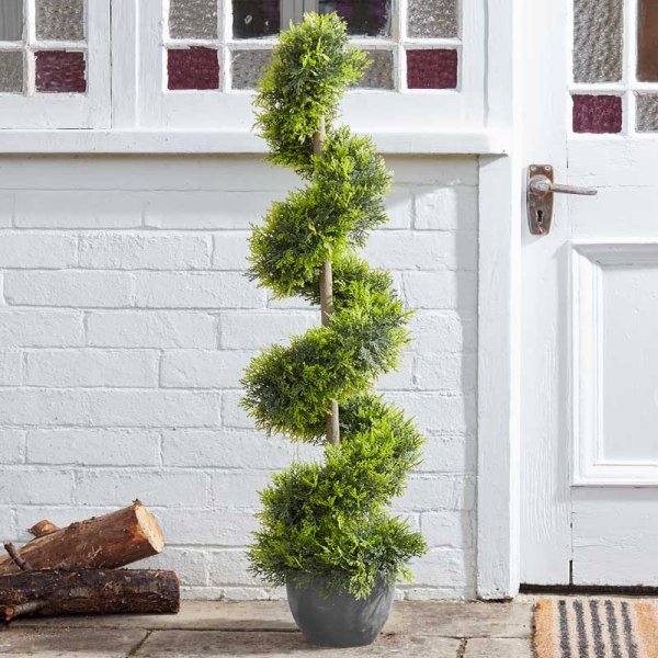 Cypress Topiary Twirl 120Cm