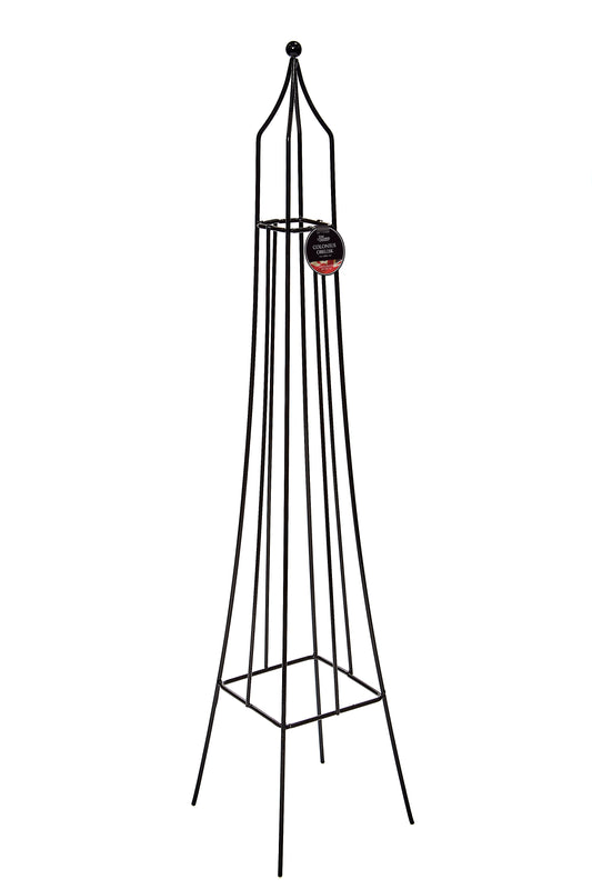 Colonius Small
