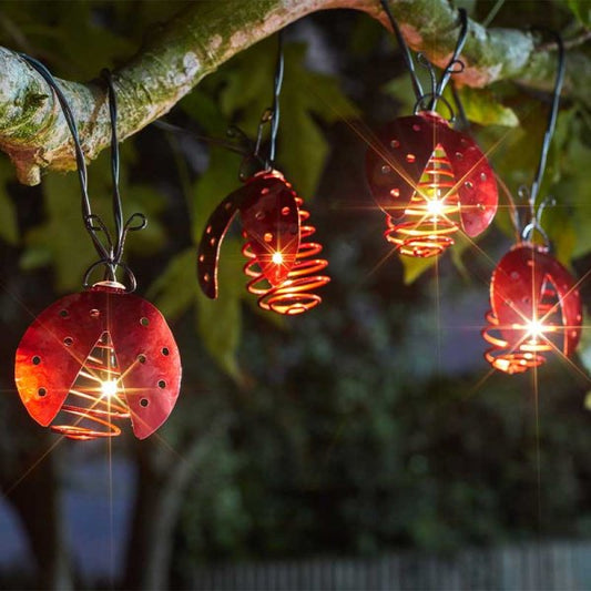 Ladybird Lights Set Of 10