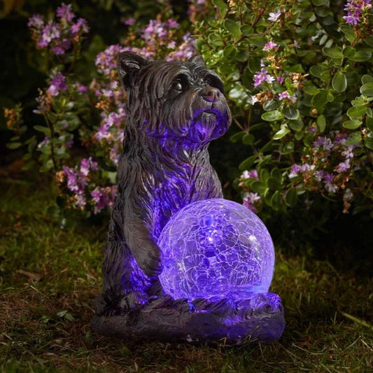 Solar Mystic Dog