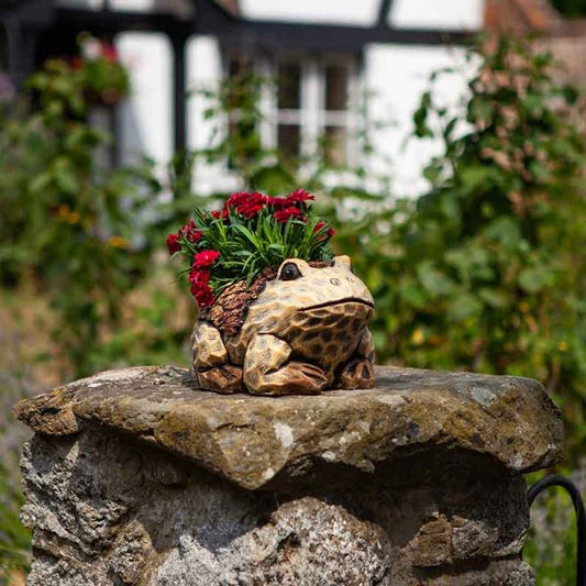 Woodland Frog Planter