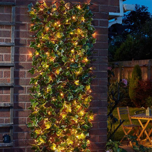 Solar In Lit Ivy Trellis 75Led
