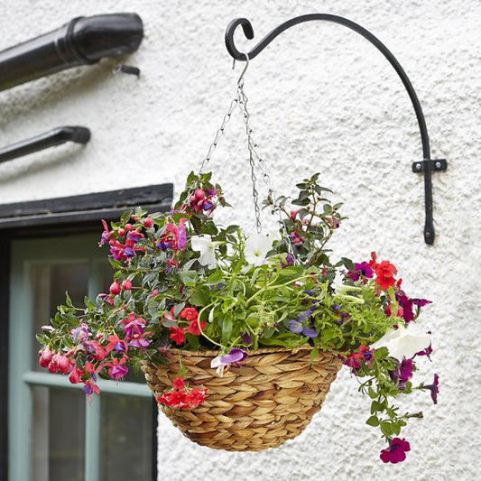 14In Hyacinth Basket