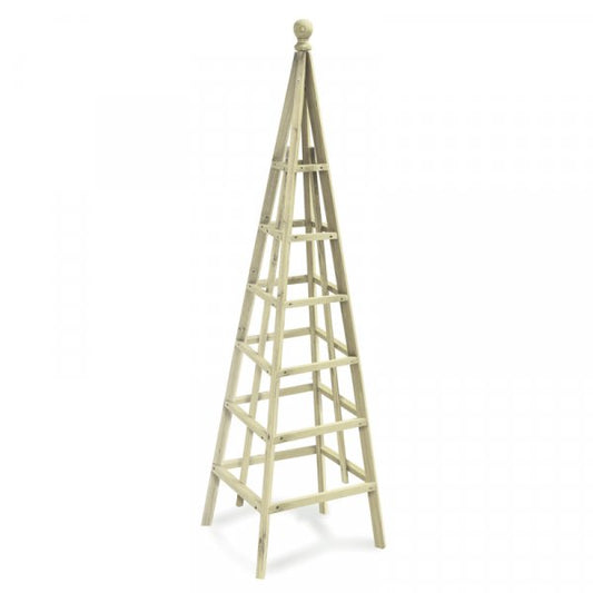 Large Woodland Obelisk Sage 1.9M
