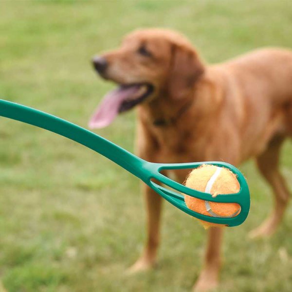 Pooch Mini-Ball Launcher