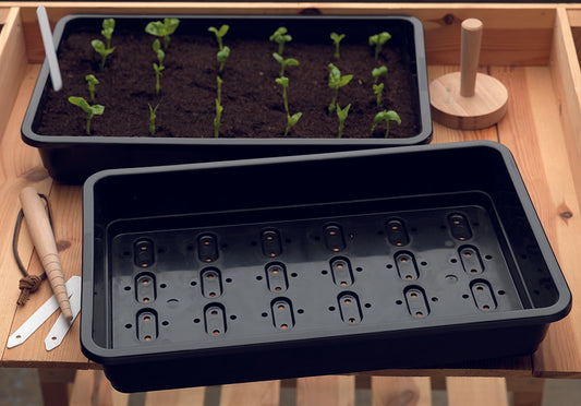 Standard Seed Tray Black