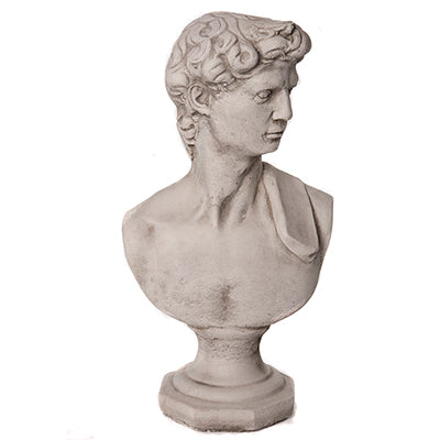 David Bust - Stone