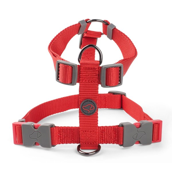 Red Walkabout Dog Harness M