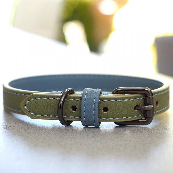 Sage Luxe Leather Collar S