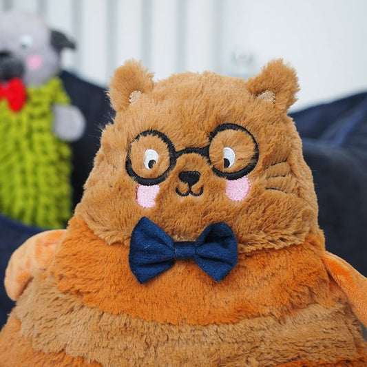 Tubby Tango Cat Playpal