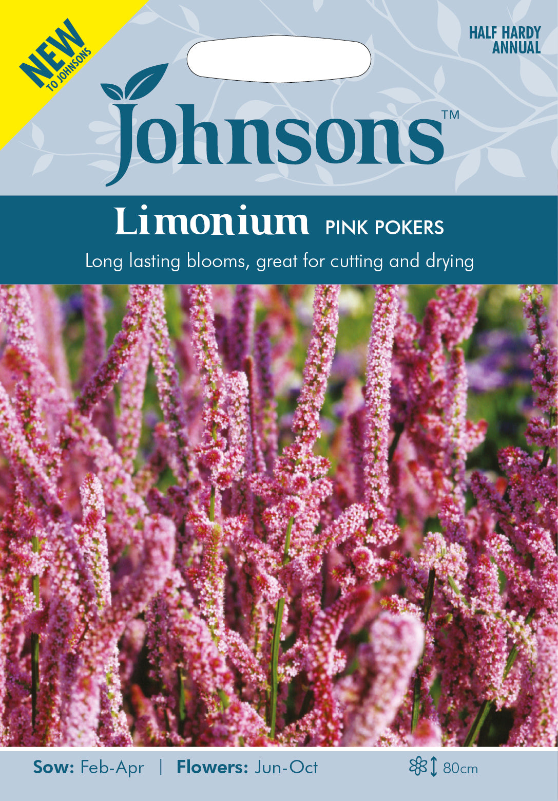 LIMONIUM Pink Pokers