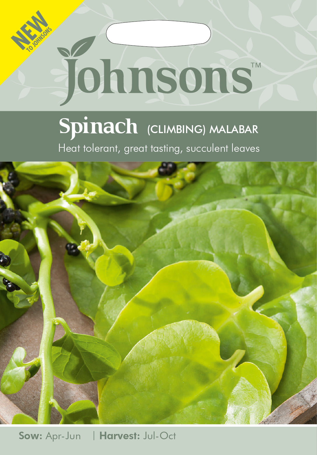 SPINACH (Climbing) Malabar Spinach