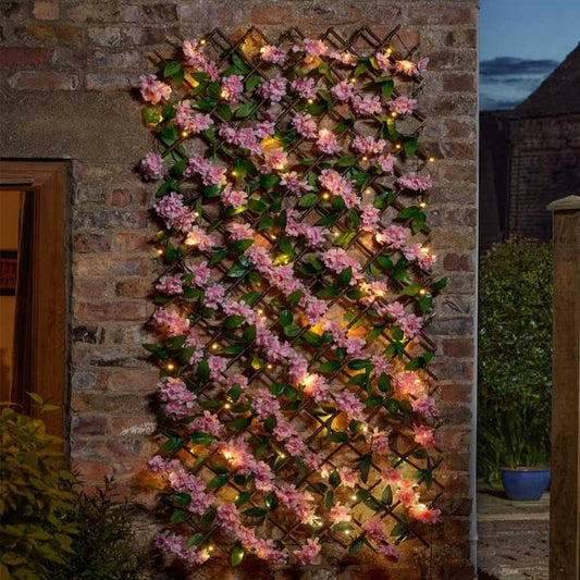 Solar In Lit Blossom Trellis 50Led