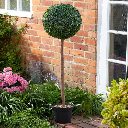 Uno Topiary Tree 120Cm