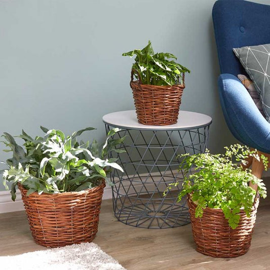 Décor Basket Trio