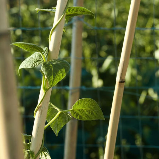Bamboo U Hoop 1.2 M 3 Pk