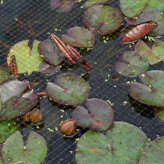 Pond & Fruit netting Black 12Mm 2X10M