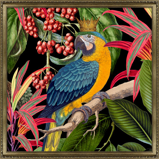 Parrot King I
