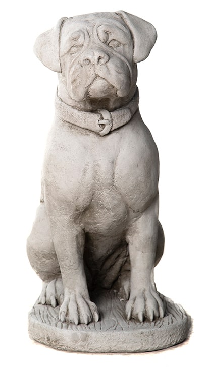 Boxer with Collar - Stone