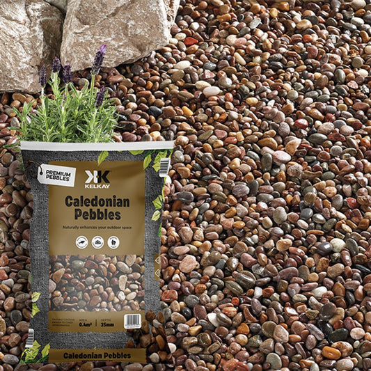 Caledonian Pebbles 14-20Mm Large Pack