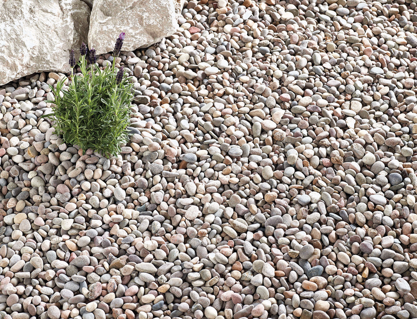 Caledonian Pebbles 14-20Mm Large Pack