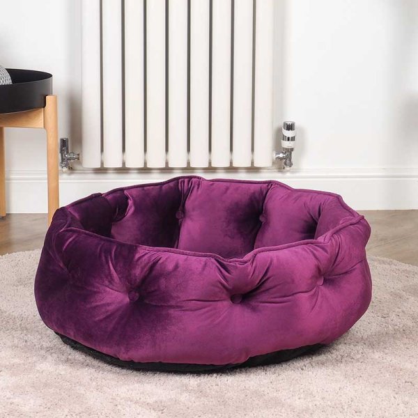 Button Tufted Donut Bed Mulberry