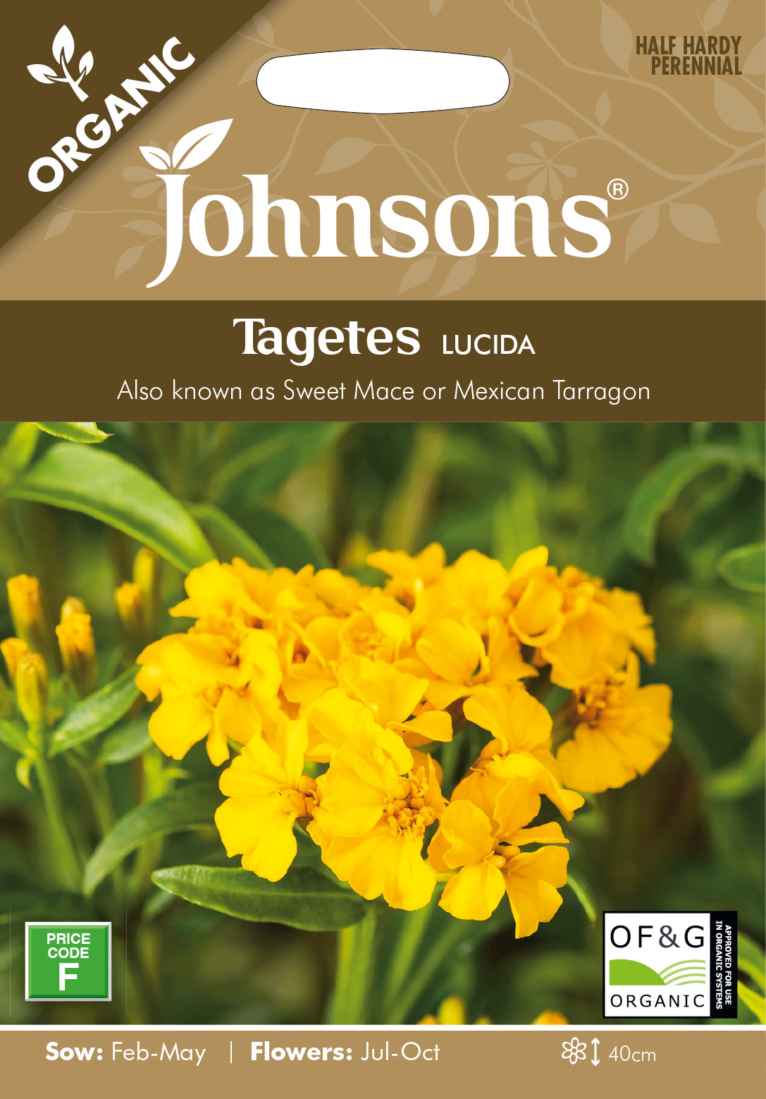 Organic TAGETES lucida