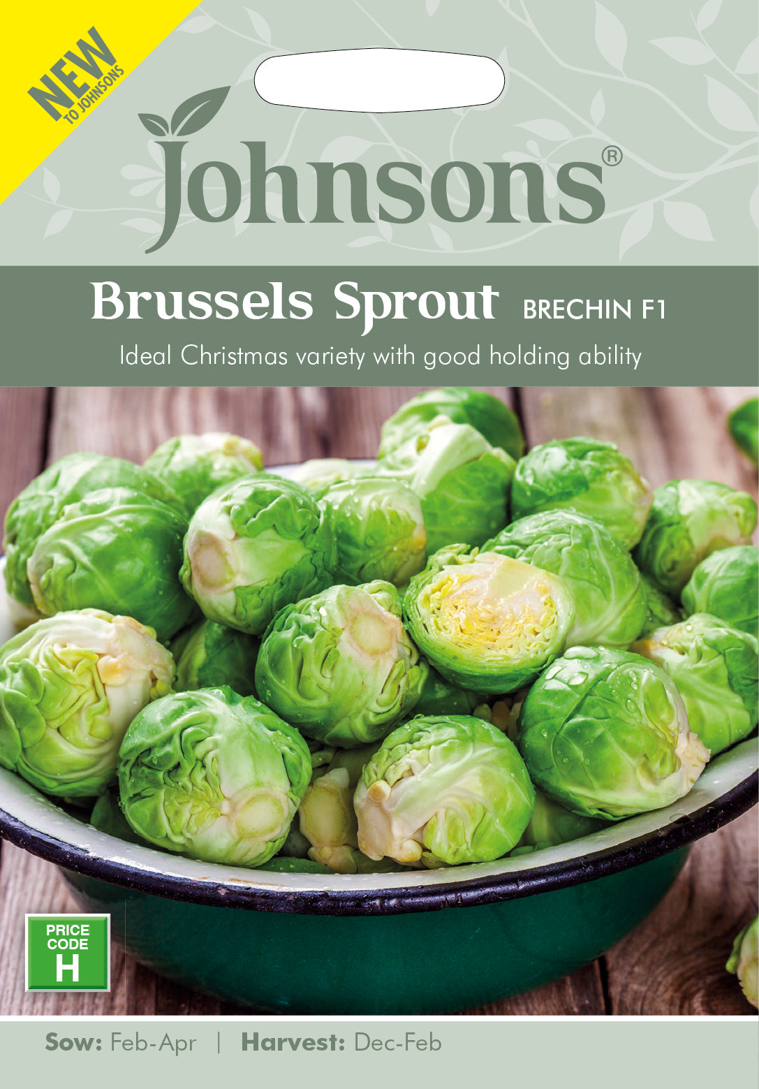 BRUSSELS SPROUT Brechin F1