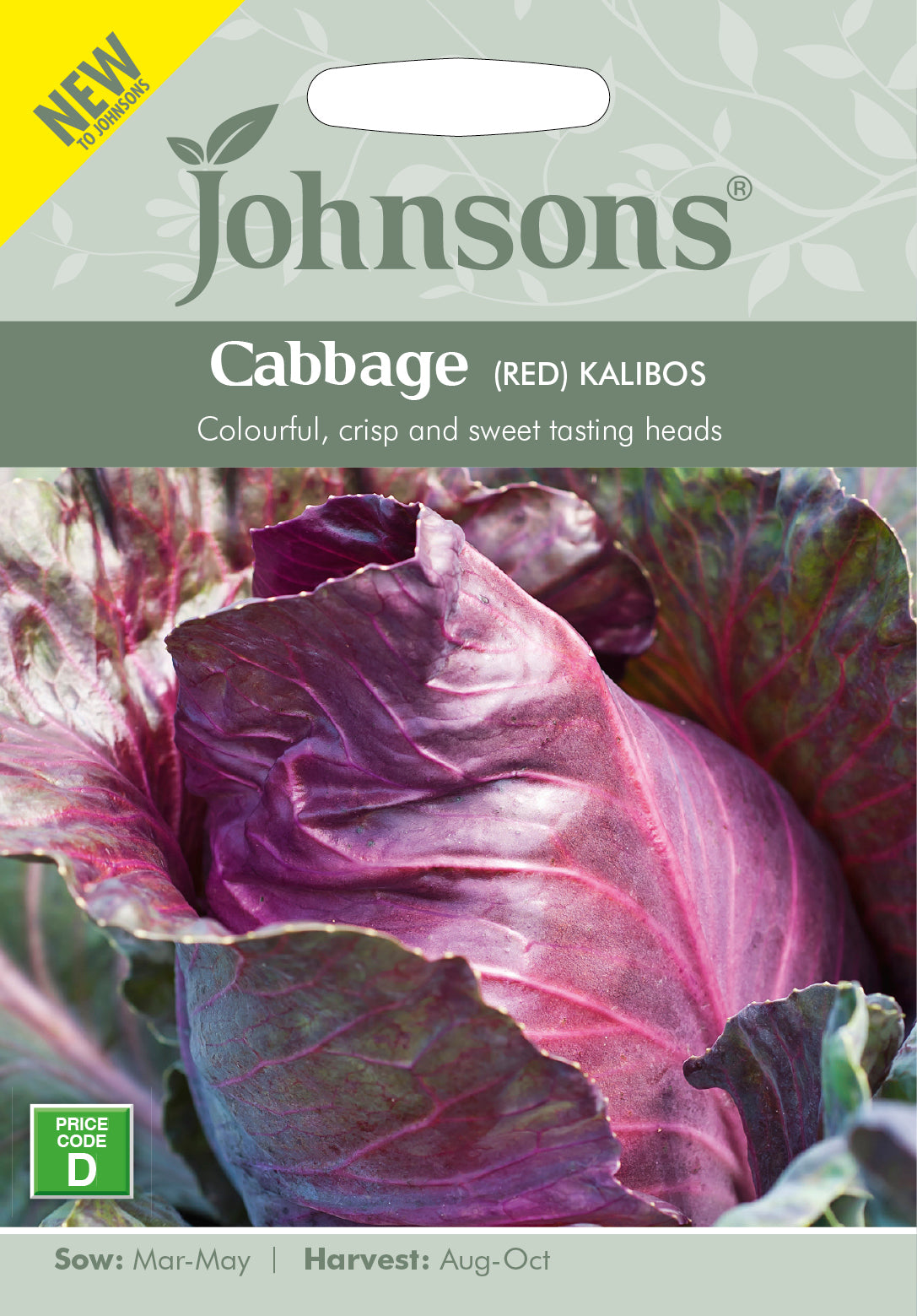 CABBAGE (Red) Kalibos