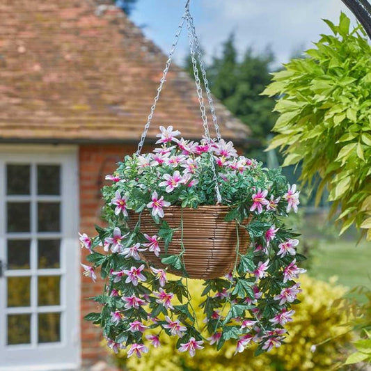 Star Gazing Lilies Hanging Basket 30Cm